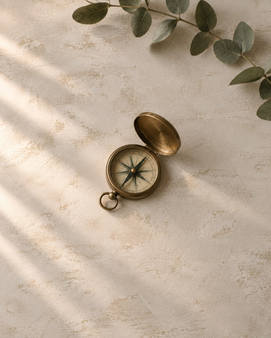 A brass pocket compass open on a wide pale plaster surface with a sprig of eucalyptus curving in from the top edge