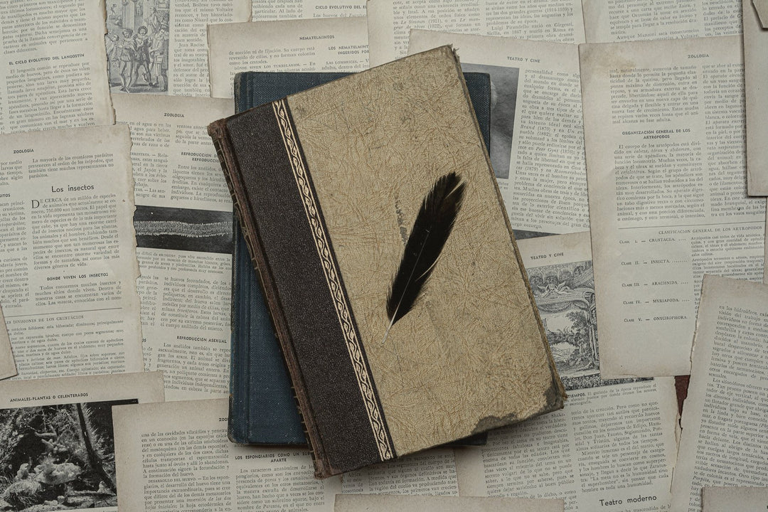 An old clothbound book with a feather on its cover, resting on scattered vintage papers