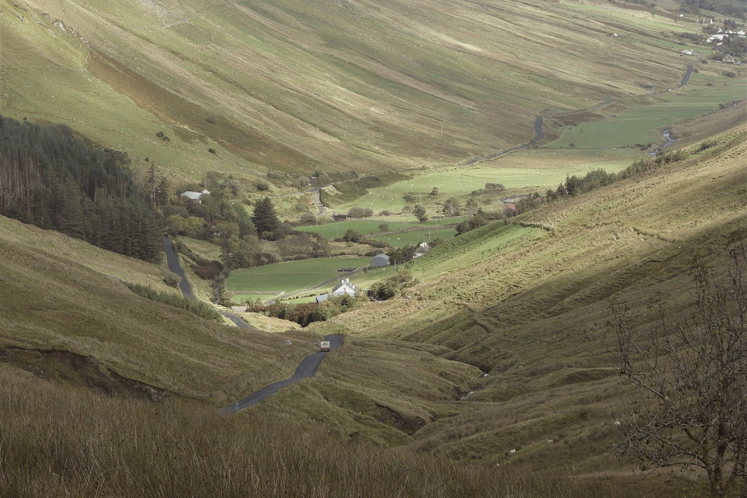 A quiet road winding through green rolling hills