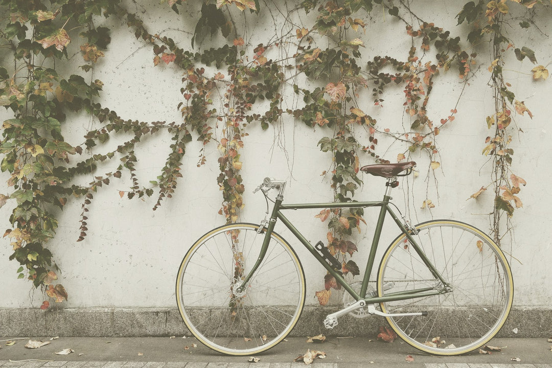 A vintage bicycle against an ivy-covered wall